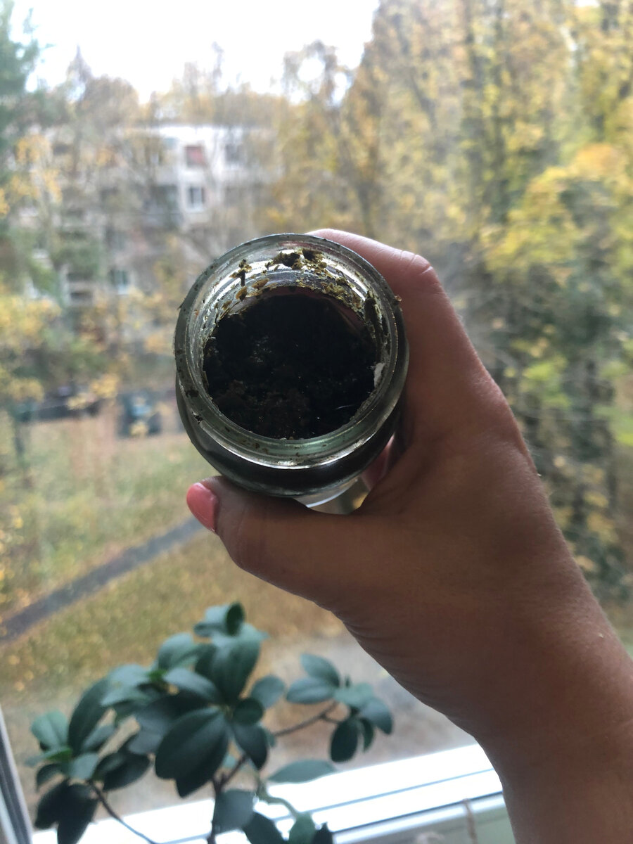 Аджика абхазская. Мы ее привозим сухой. 