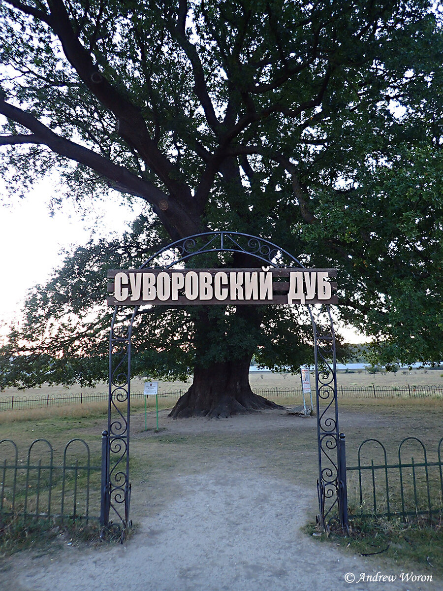 Надпись на арке перед дубом 
