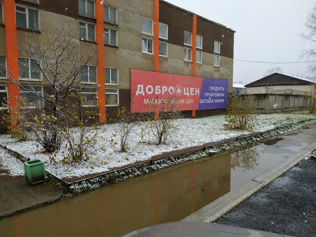 Фотография автора статьи