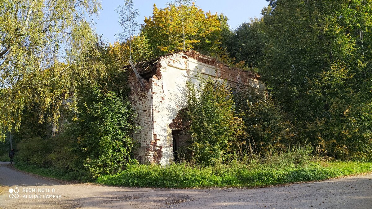 Ещё пару лет, и деревья скроют здание совершенно