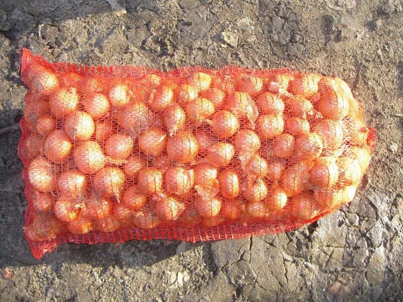 Из открытых источников