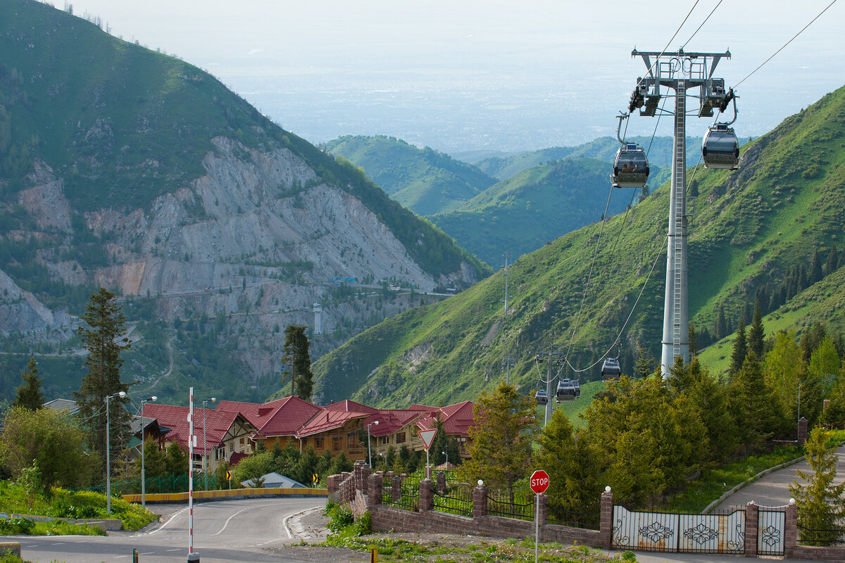 Алма Ате Башар