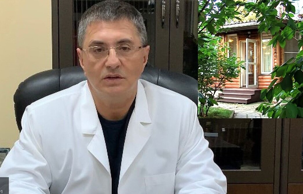 Звезда телевидения доктор Мясников живет за городом просто, но комфортно. Коллаж: МИР КВАРТИР
