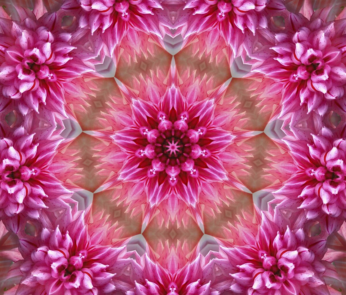 Мандала помогает прийти к внутреннему балансу и гармонии