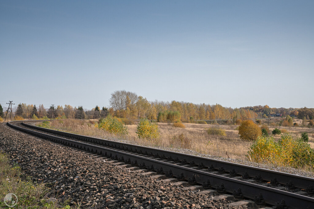 Его ещё не очень видно, но хорошо слышно.