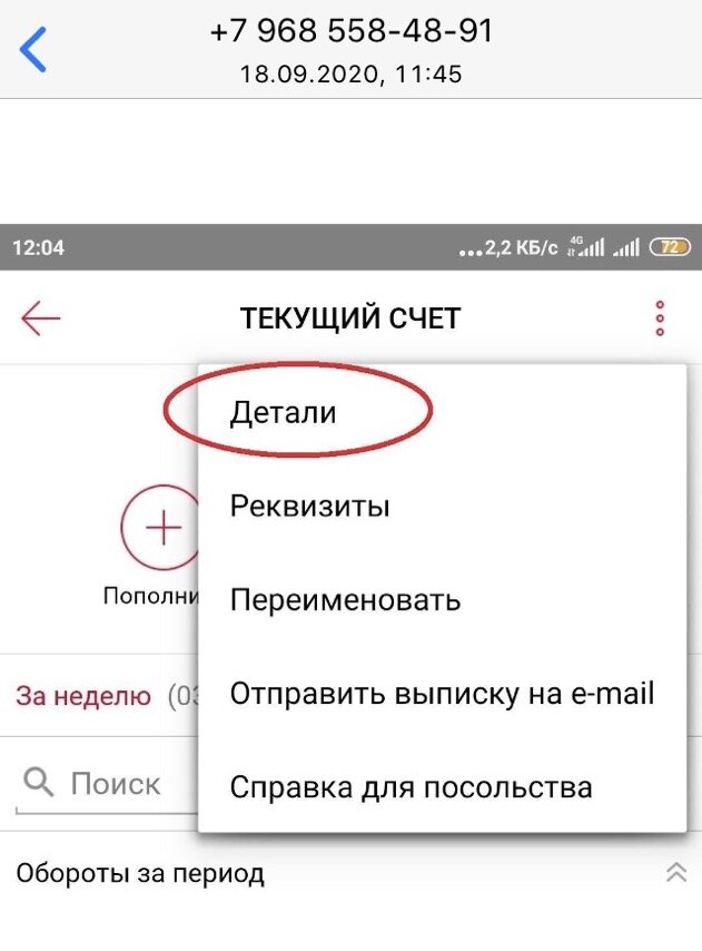 С помощью скрин-сообщений мне показали, какая информация мошенникам интересна.