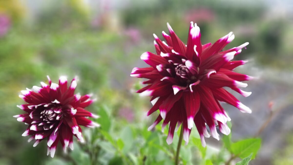 Из личного архива