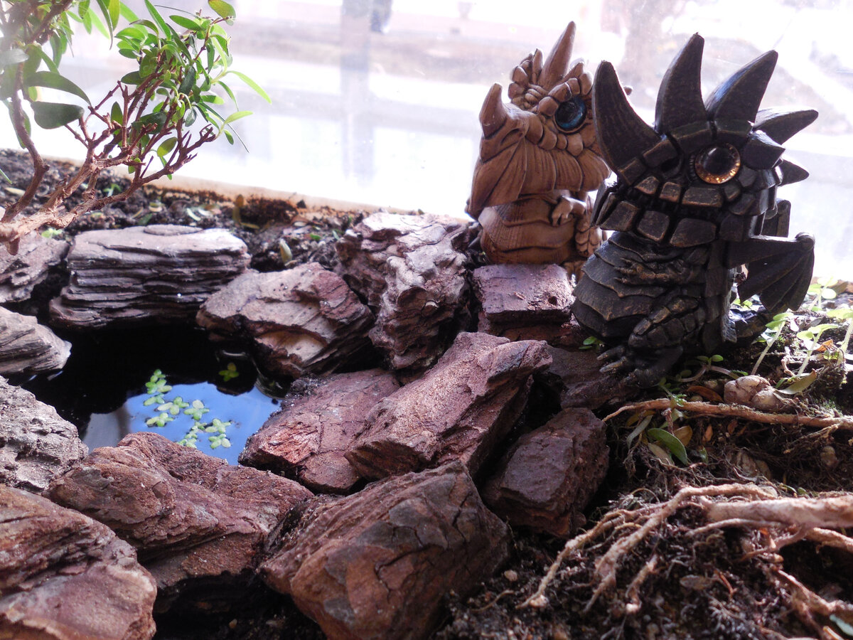 Сначала было так. Прудик в пластиковой форме. В разрезанном флаконе из-под шампуня