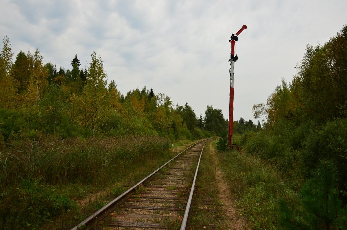 Погода в селижарово на 3 дня. Селижарово вышка. Соблаго Тверская область. Торжок Соблаго. Ранцево Тверская область.