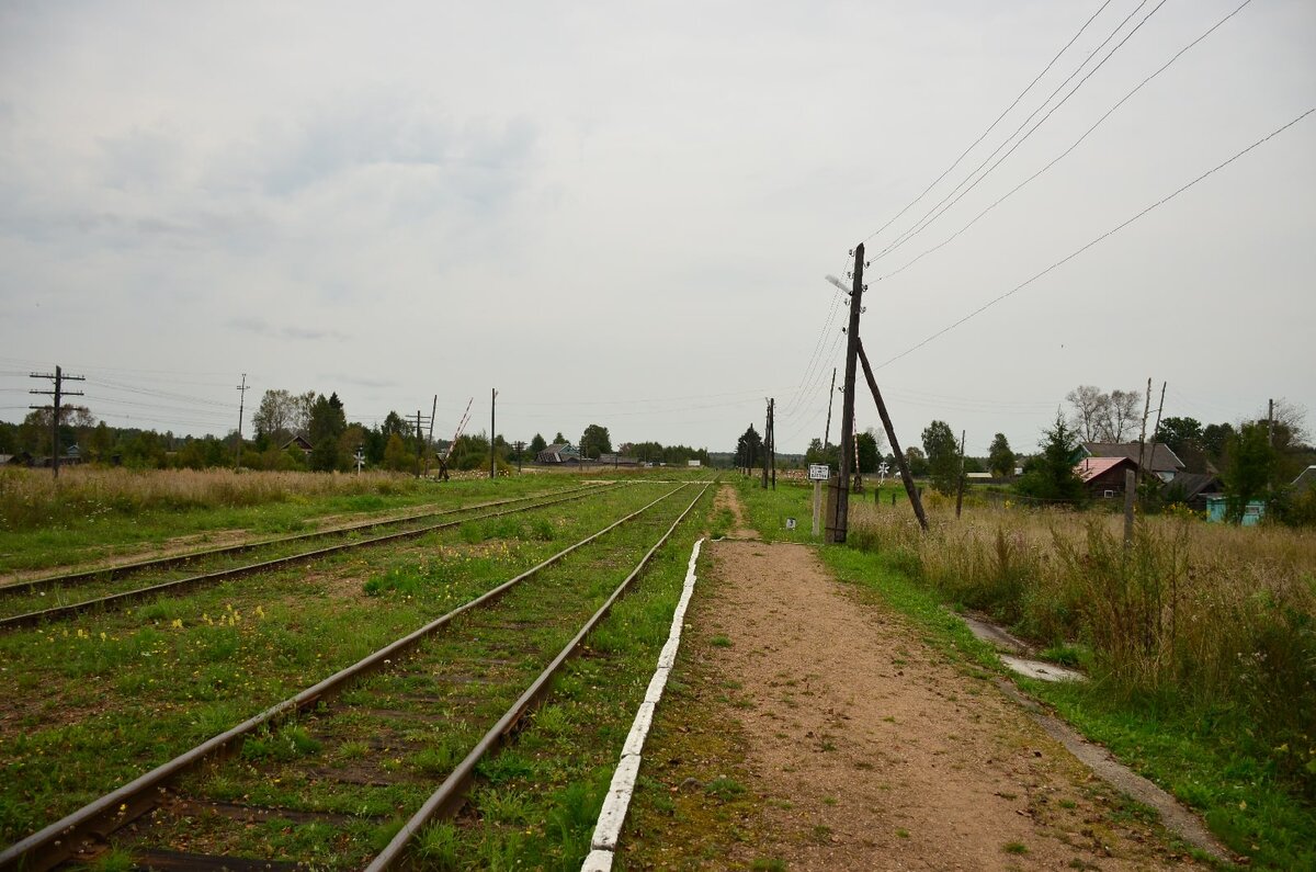 Селижарово тверская область прогноз погоды