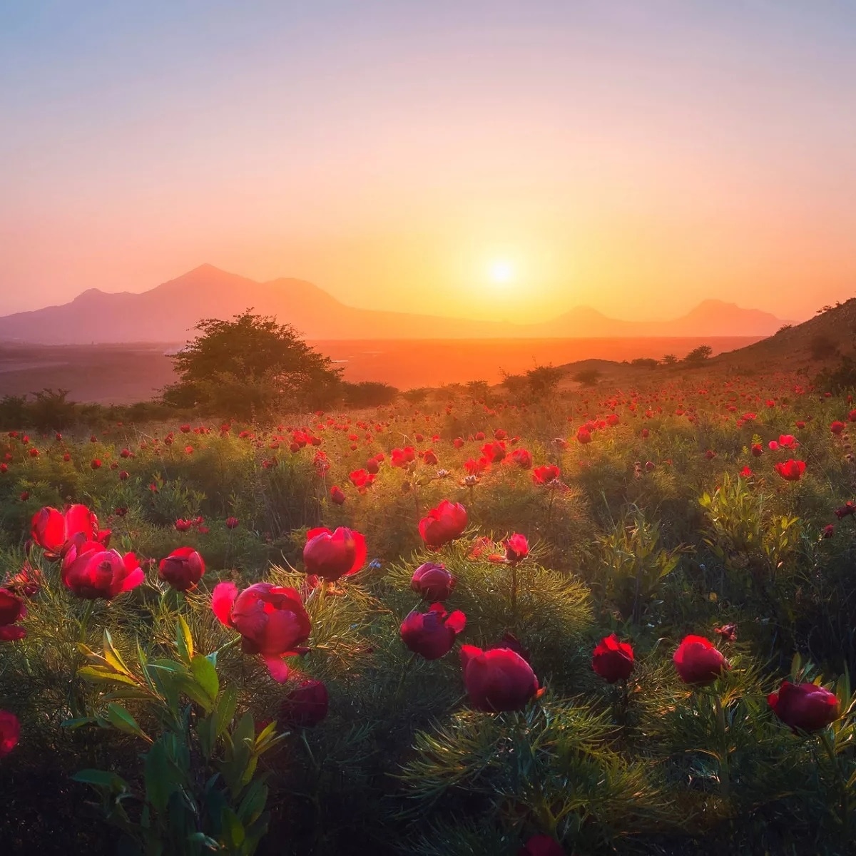 Картинка не по теме , просто красивая )