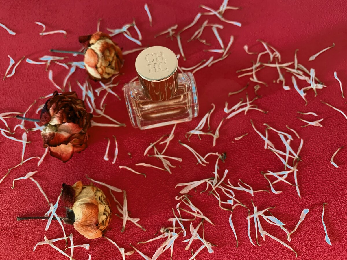 фото автора публикации 