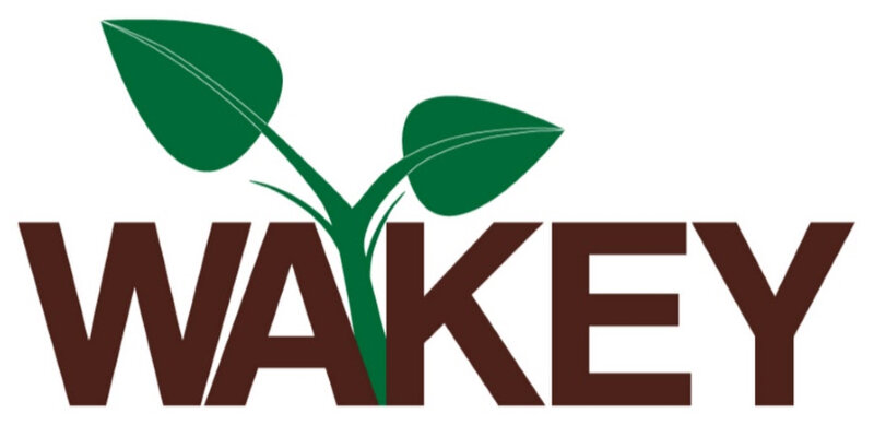  Wakey