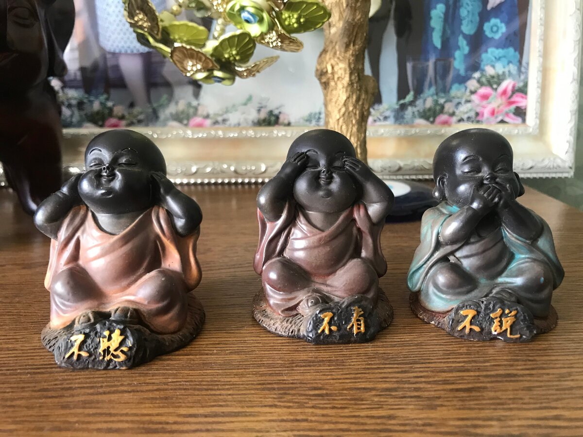 «три обезьяны») — устойчивая композиция из трёх обезьяньих фигур, закрывающих лапами глаза, уши и рот. 
Считается, что три обезьяны символизируют собой идею недеяния зла и отрешённости от неистинного. «Если я не вижу зла, не слышу о зле и ничего не говорю о нём, то я защищён от него». В русском переводе более популярна версия «Ничего не вижу, ничего не слышу, ничего никому не скажу».

Каждая из трёх обезьян имеет собственное имя: не видит Мидзару (見ざる), не слышит Кикадзару (聞かざる) и не говорит Ивадзару (言わざる).