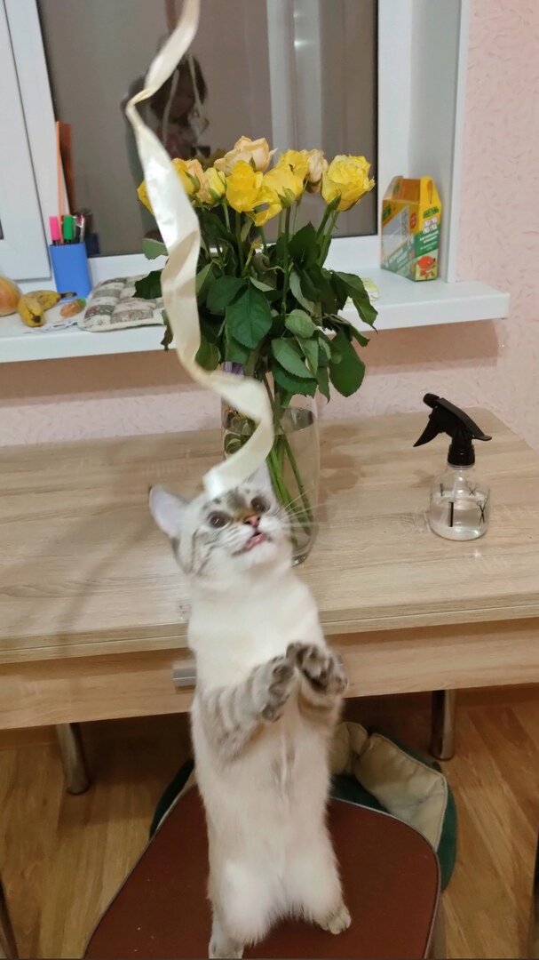 Такое у меня лицо, когда я вижу очередную очень нужную вещь на Wildberries