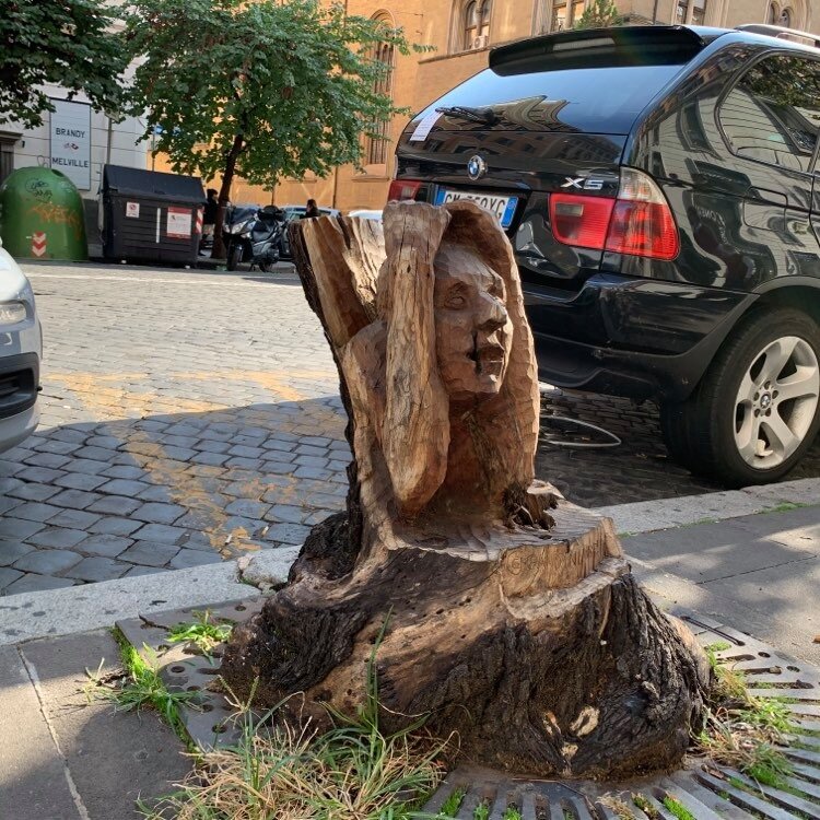 У меня такое же состояние, как у этого пня.  