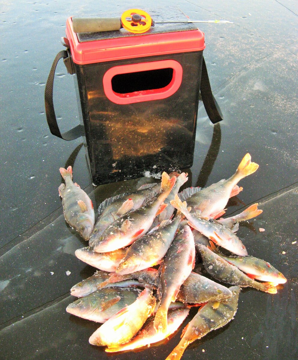 Легкий зимний ящик Teho