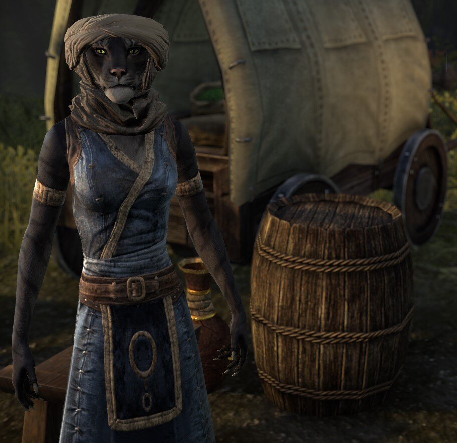 Карта в галерее