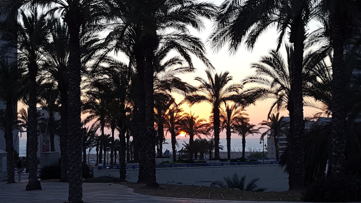 Где-то на востоке Средиземья