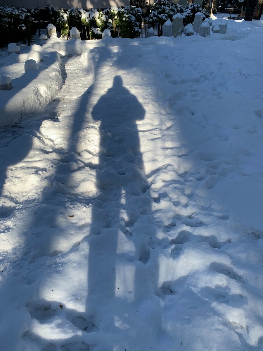 Декламация зимой на улице.