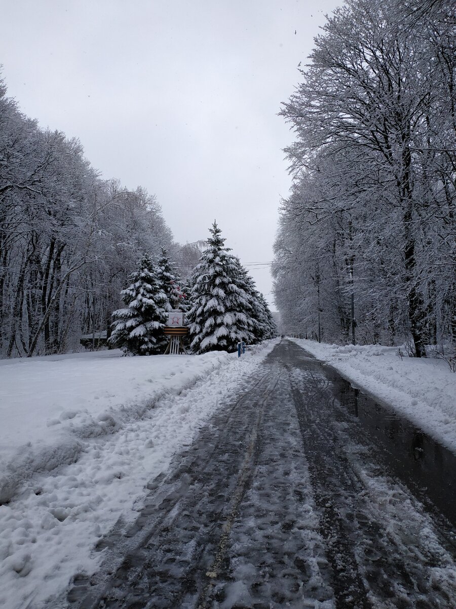 Парк Победы. Фото автора Ольги Носковой. Середина февраля, Ставрополь