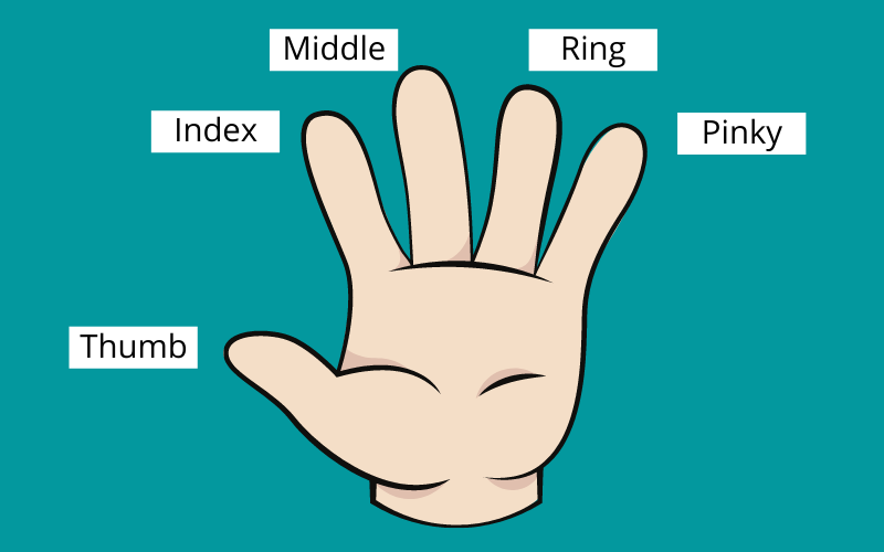 Почему палец назвали палец. Название пальцев на китайском. Название пальцев на руке. Пальцы по порядку. Название пальцев на корейском.