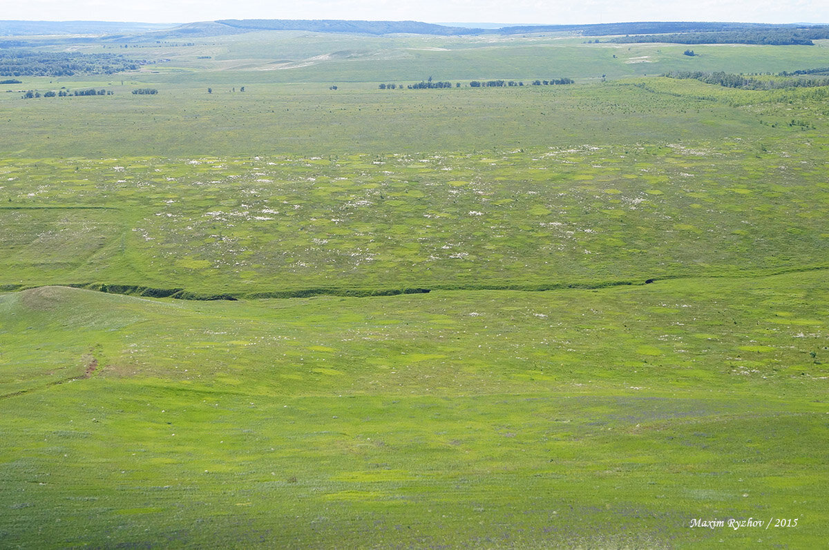 Каменная коза Самарская область гора