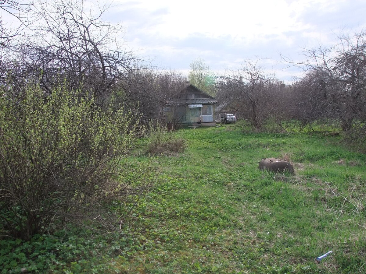 Моя деревня сейчас