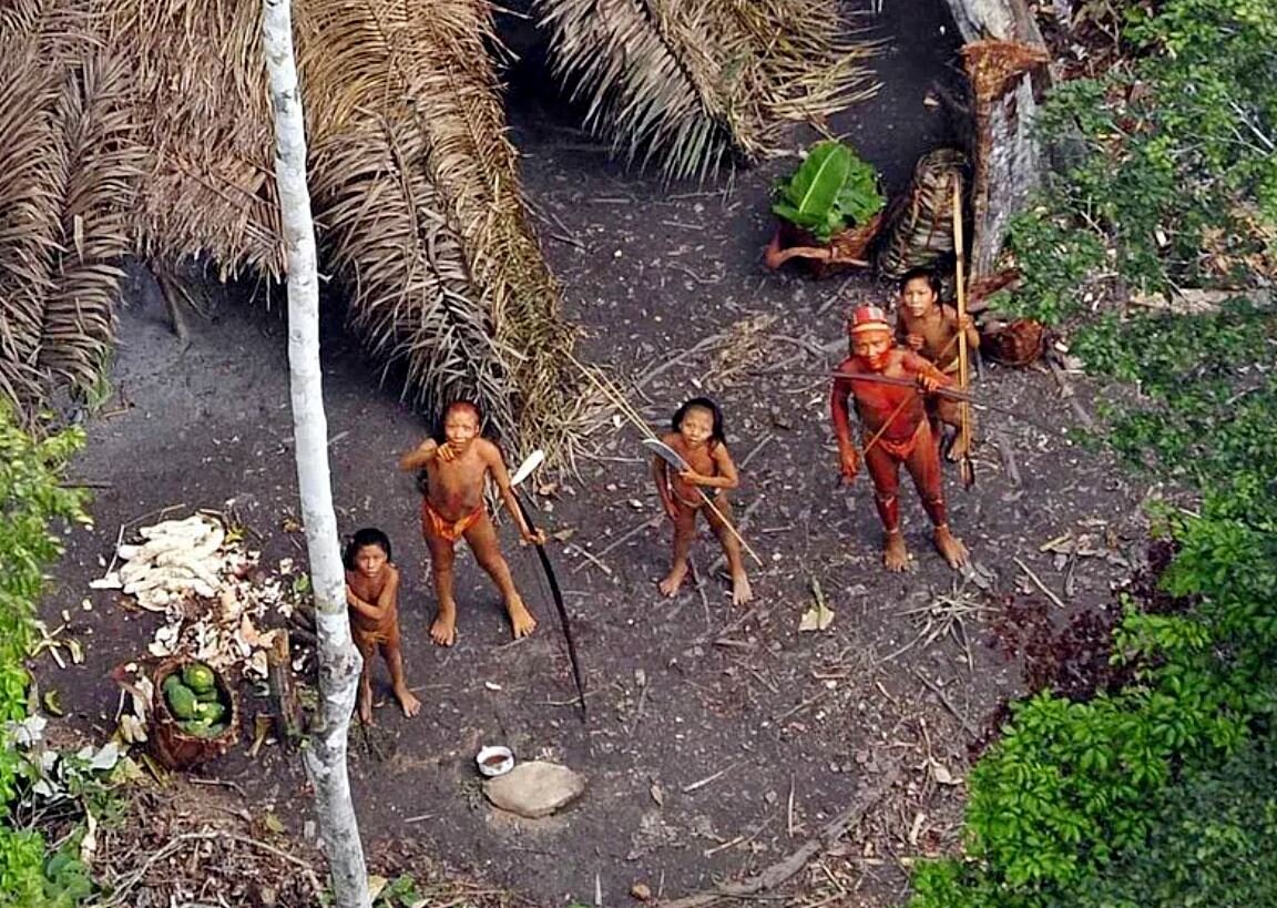 Индейцы джунглей. Сентинельский остров. Северный Сентинельский остров. Бразилия джунгли неконтактные племена.