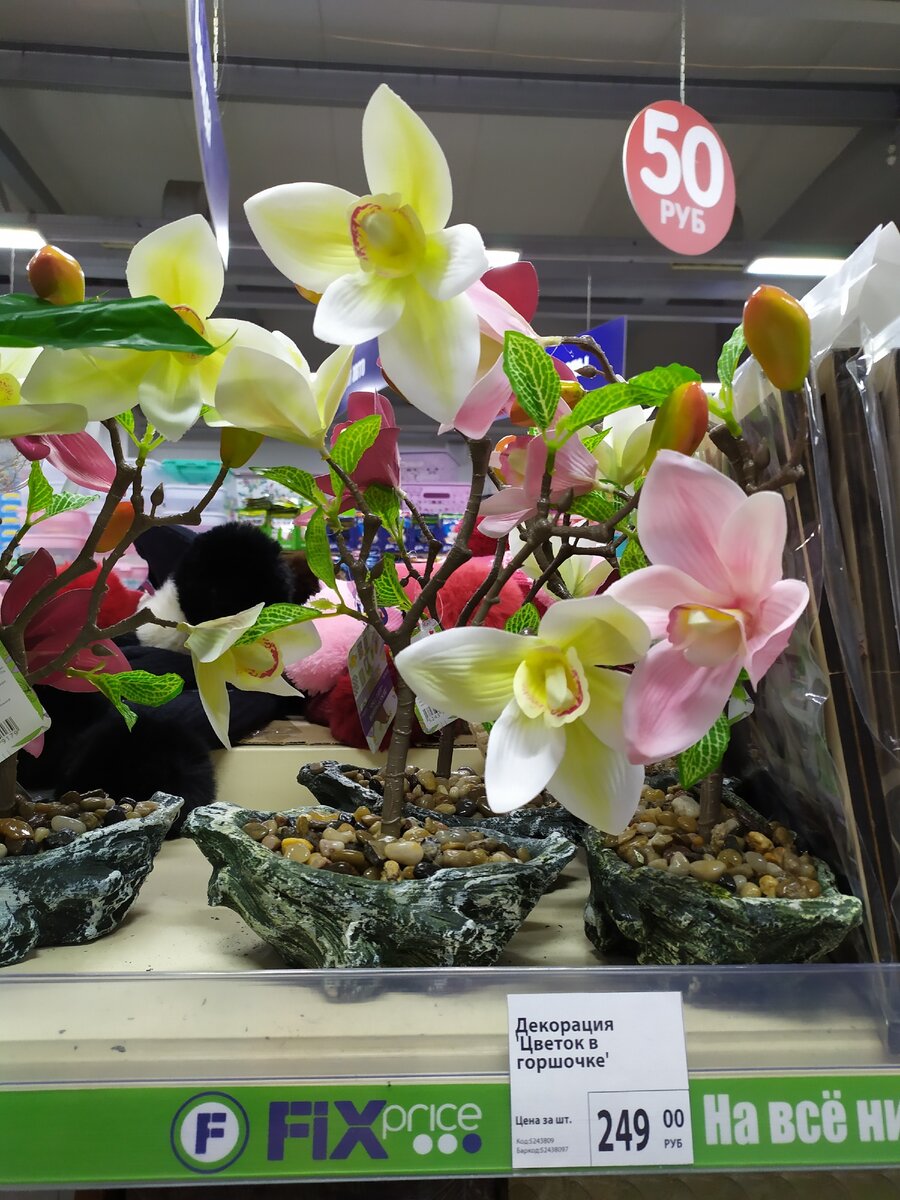 Красавицы какие!