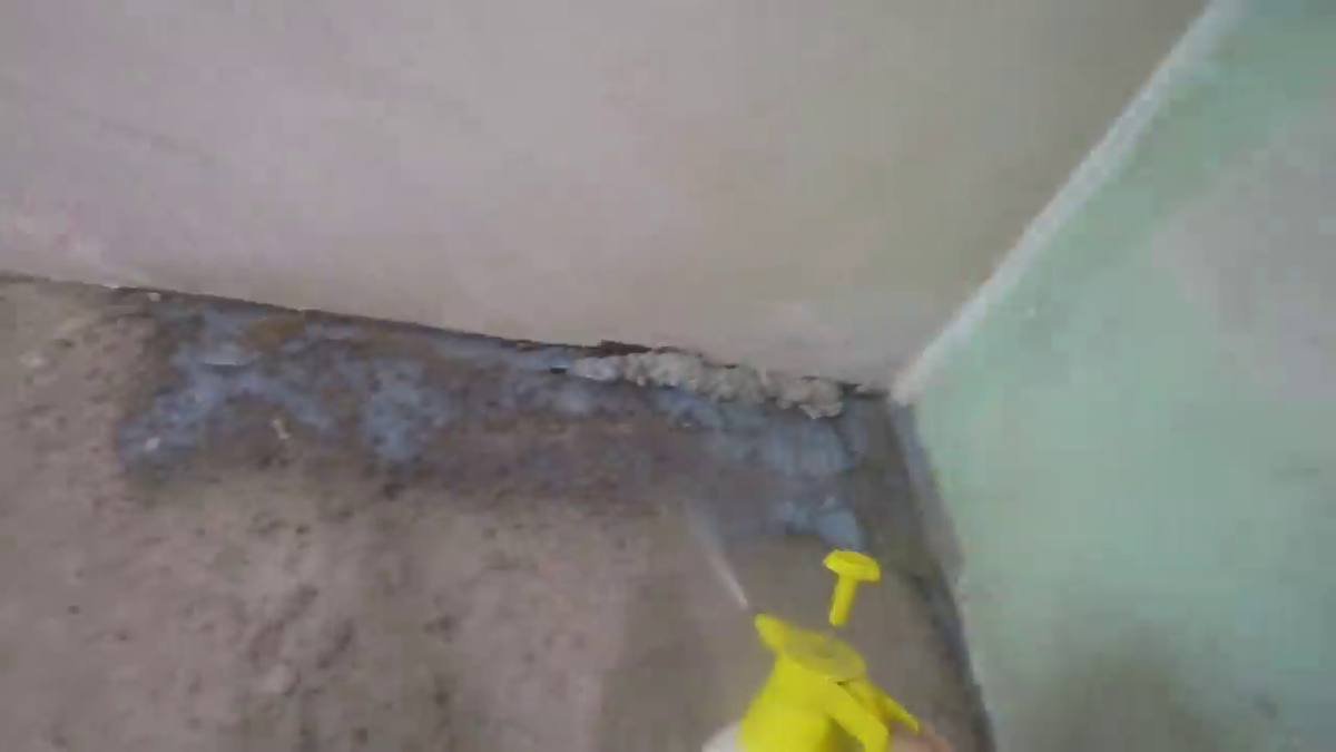 Опрыскиваем