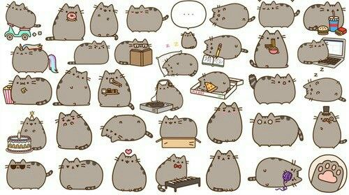 Many cats:)