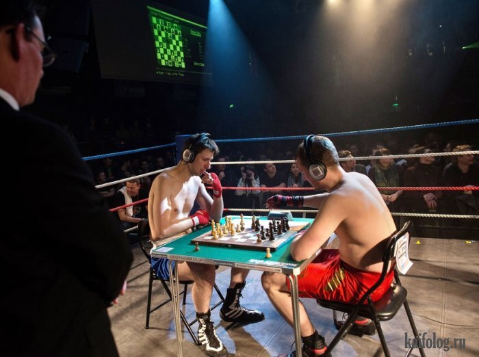 Раунд между Крисом Леви (справа) и Мэтом Ридом (слева) во время Гран-при по шахбоксу, Лондон, Великобритания. 