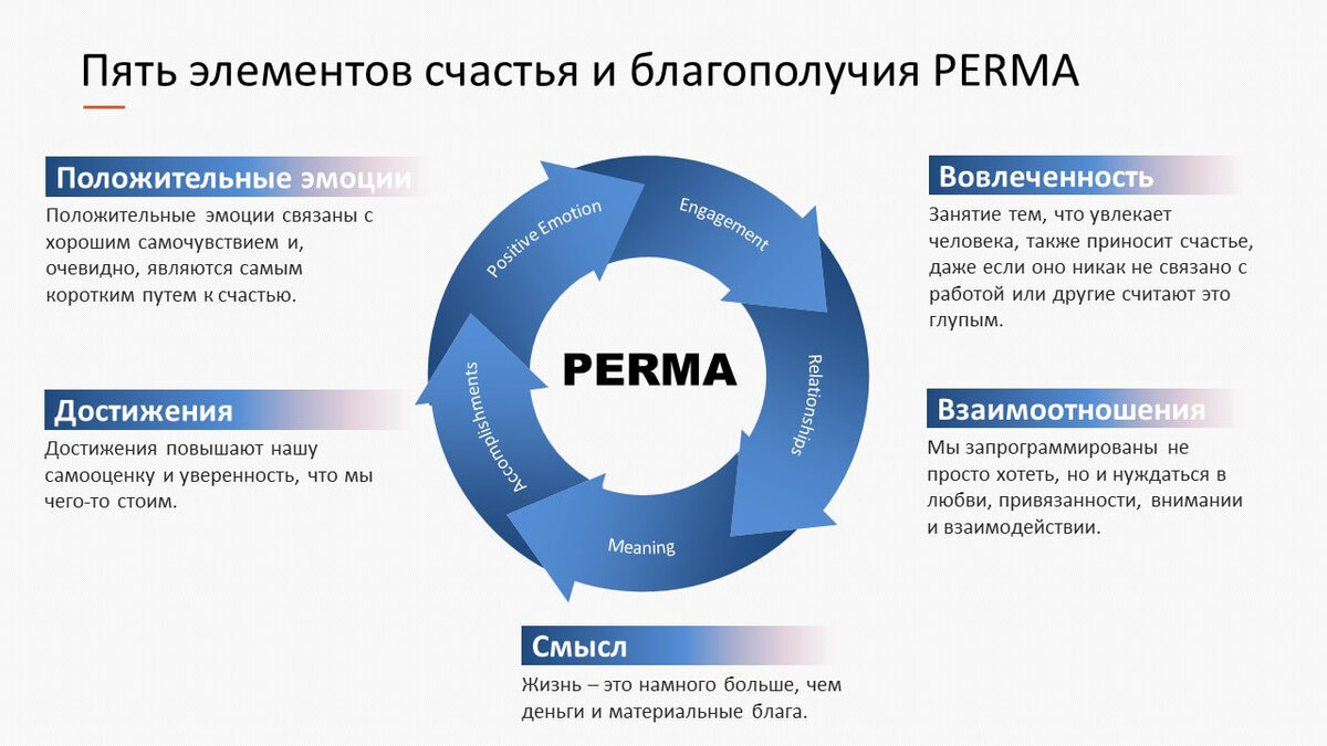 Фото из открытых источников. Модель счастья американского психолога Мартина Селигмана. 