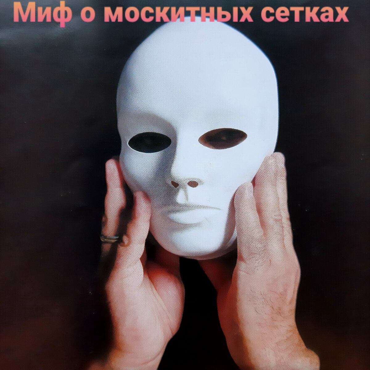 Авторитетный взгляд изнутри.