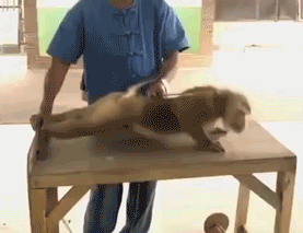 мужчины физ упражнения а девушки разминочку