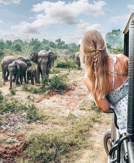 Travel-тренды 2020-2021 года: самые популярные запросы путешественников, Vegan Travel, Эко-туризм, Cash free, VR Travel, Slow Travel, travel-карта, travel-тенденции, путешествия, путешествие, туризм, мир путешествий, хорошего путешествия, туристический агентство, отпуск куда поехать