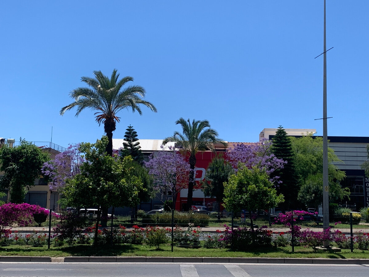 Красота куда не глянь