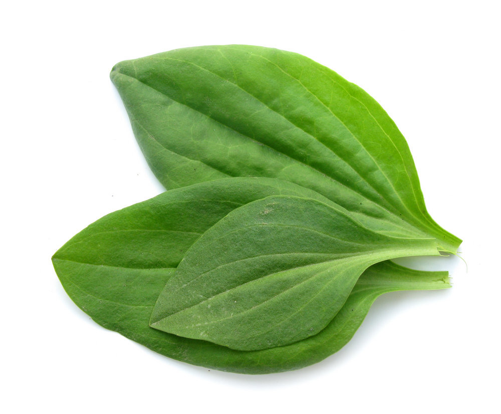 От всех болезней 