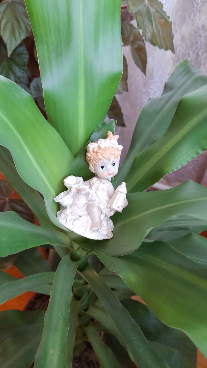 Фото автора. Таросик с моей свадьбы, бережно хранимый моей сестрой )))