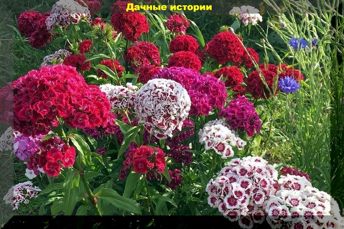 https://vk.com/photo-159774511_457249813
