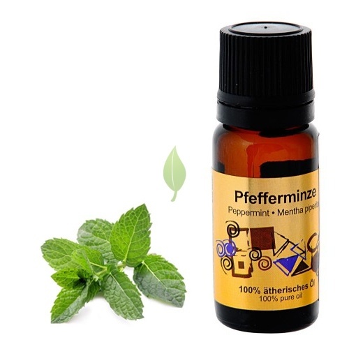 Эфирное масло мята (фото взято из открытых источников)