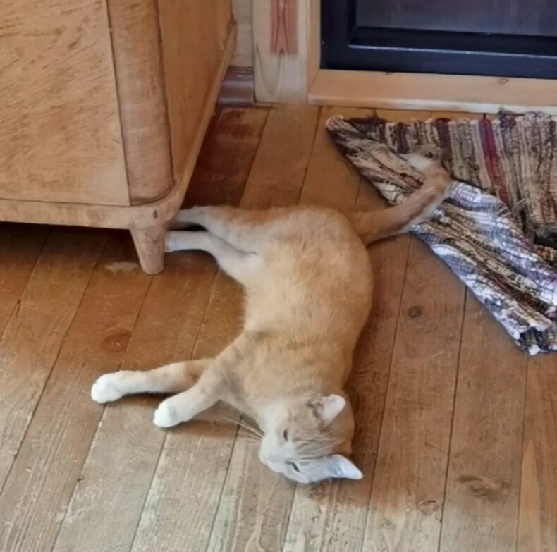 Глаша утомилась, надо отдохнуть