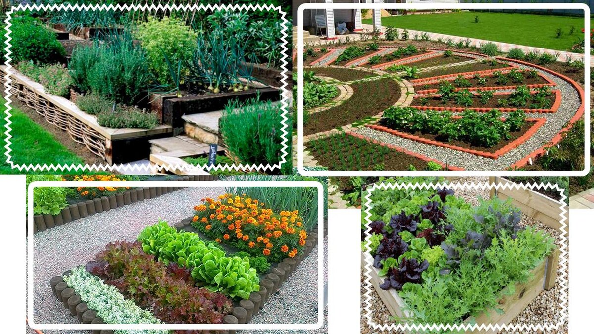 Примеры грядок для «кухонного сада»
