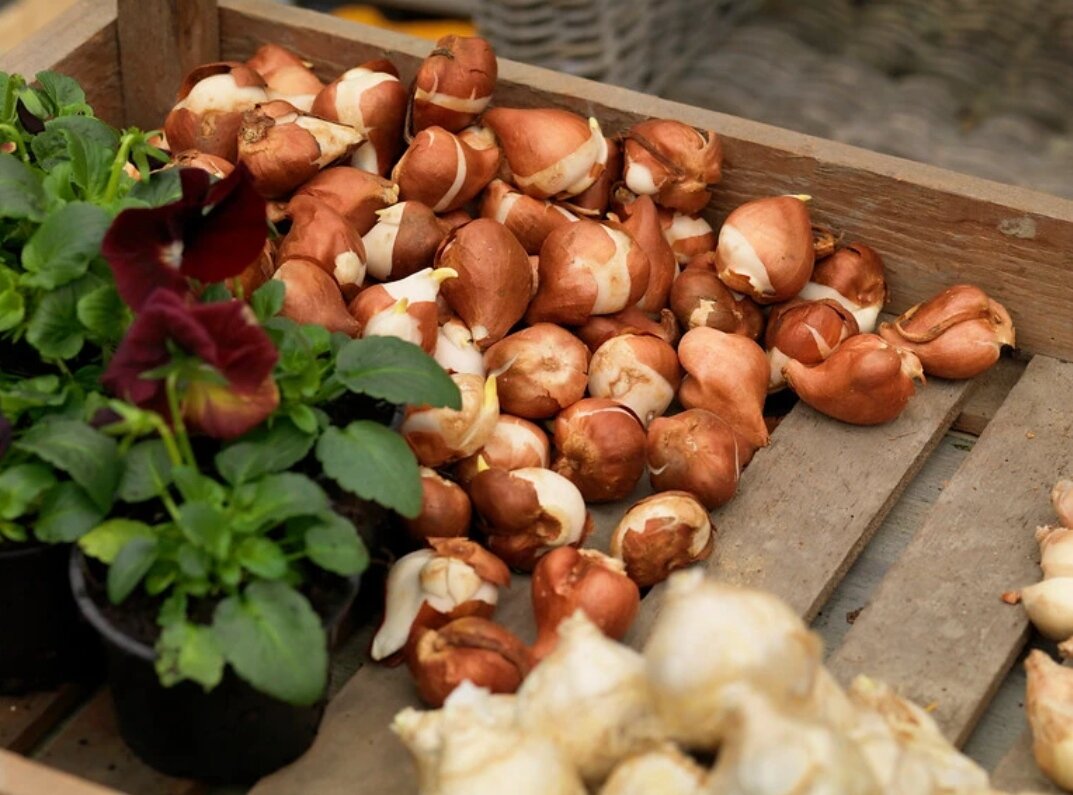 Фото: farmergracy.co.uk