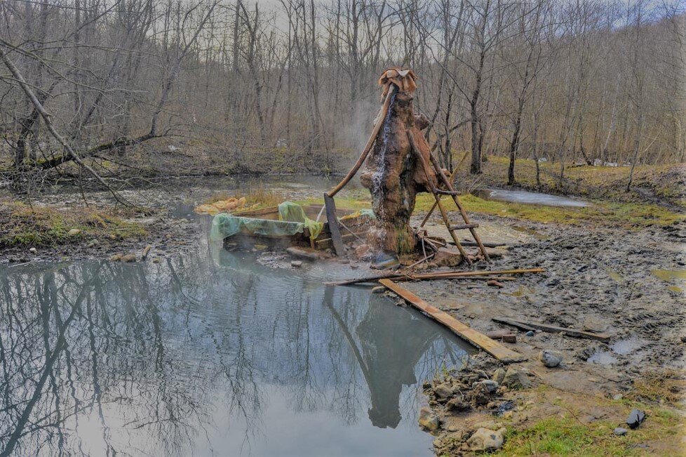 Дикий источник