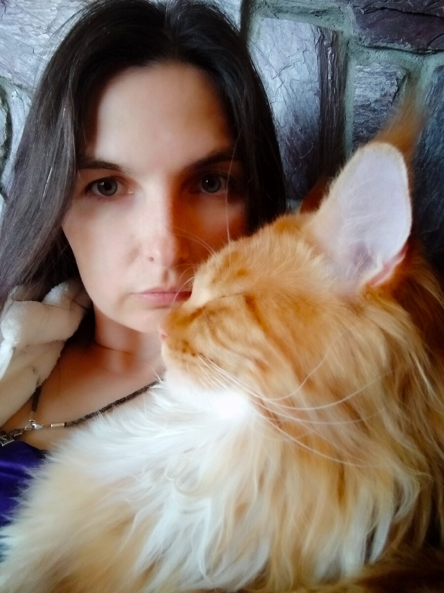 Мейн кун Степа с мамой.