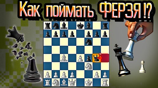 Ловушки в шахматах самые опасные в начале
