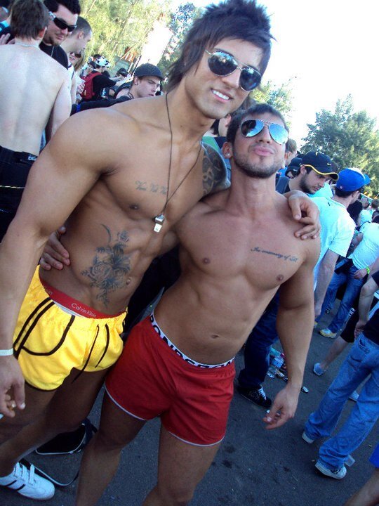 Zyzz стойка