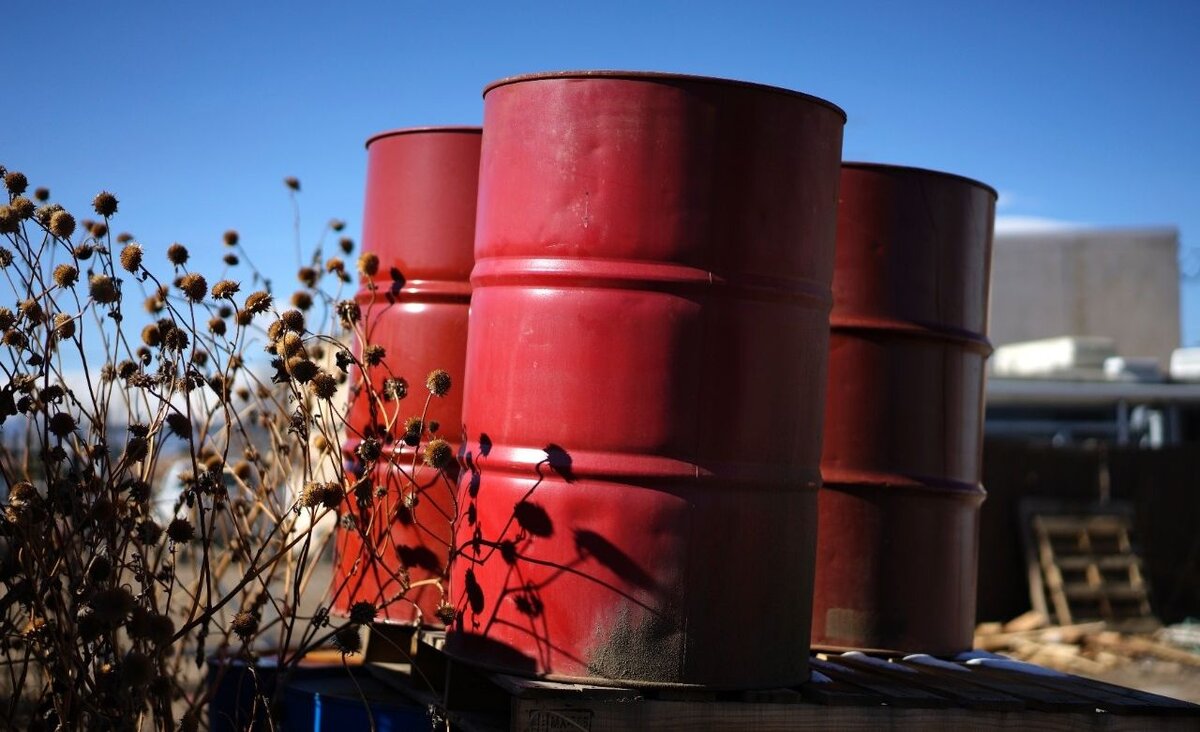 Фото из открытых источников